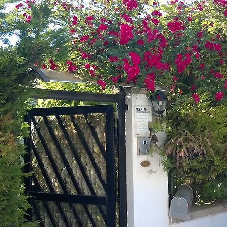 B&B Mare E Sole 브린디시 외부 사진