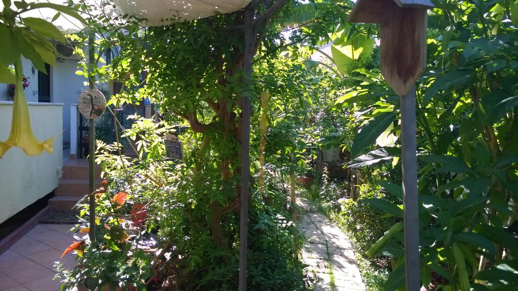B&B Mare E Sole 브린디시 외부 사진