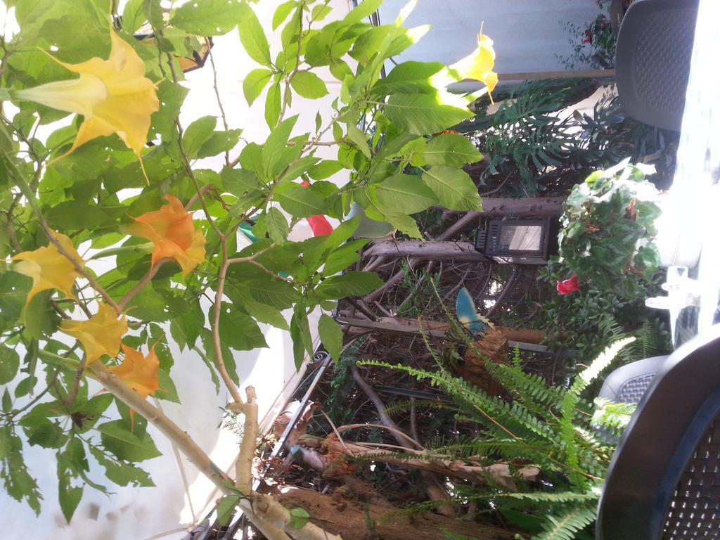 B&B Mare E Sole 브린디시 외부 사진