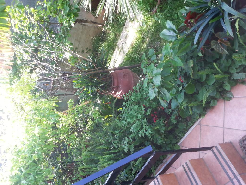 B&B Mare E Sole 브린디시 외부 사진